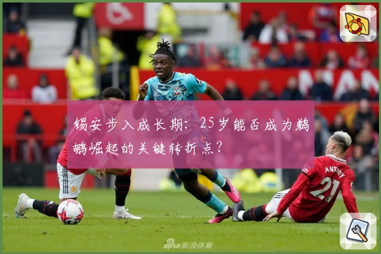 锡安步入成长期：25岁能否成为鹈鹕崛起的关键转折点？