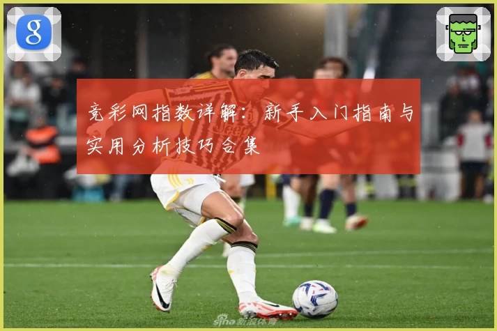 竞彩网指数详解：新手入门指南与实用分析技巧合集