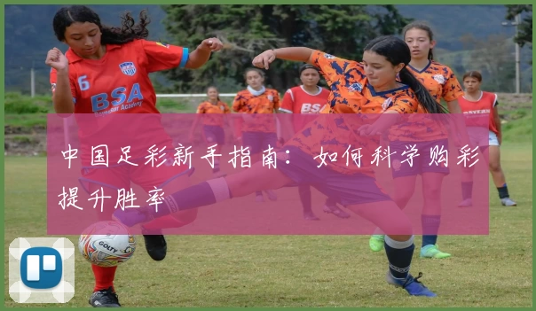 中国足彩新手指南：如何科学购彩提升胜率