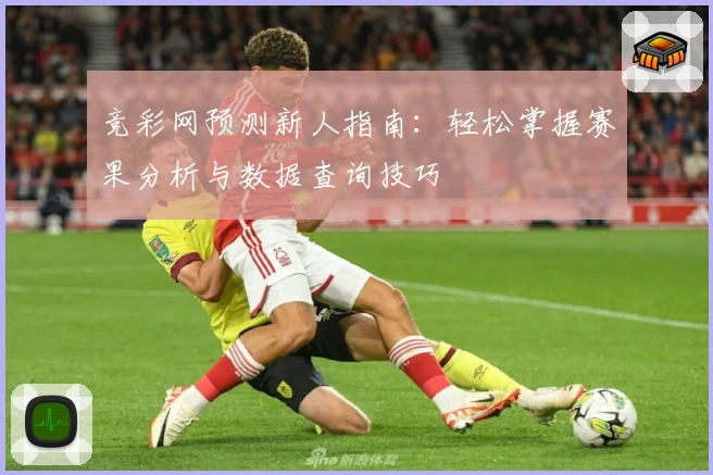 竞彩网预测新人指南：轻松掌握赛果分析与数据查询技巧